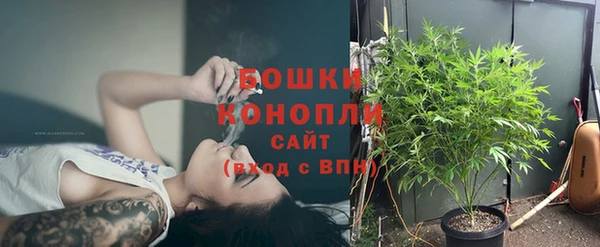 PSILOCYBIN Верхний Тагил